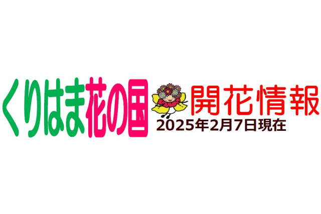 つばき園でフラワーガールが開花!!（くりはま花の国）